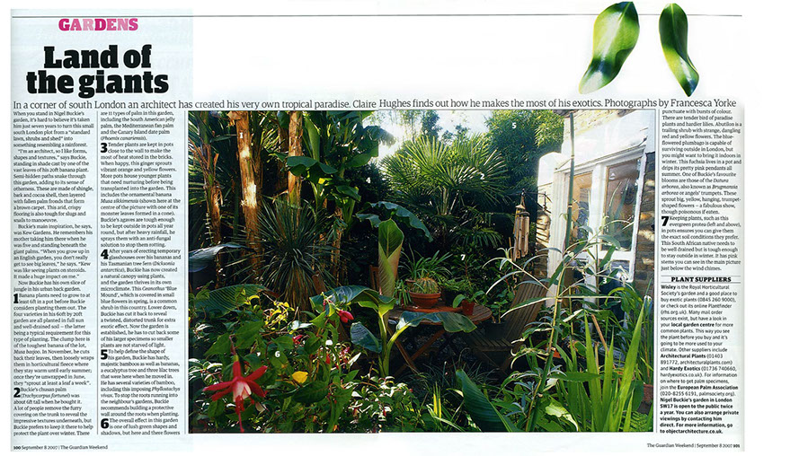 The Guardian features Nigel Buckie from object architecture and the story behind his tropical garden in the middle of Southwest London