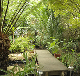 Tropical Garden Design in Wandsworth, London by Nigel Buckie from object Architecture